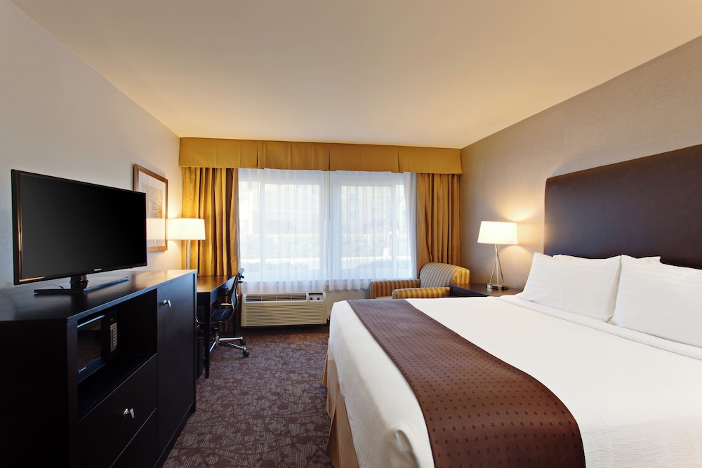 Suite, 1 King Bed - Photo 3