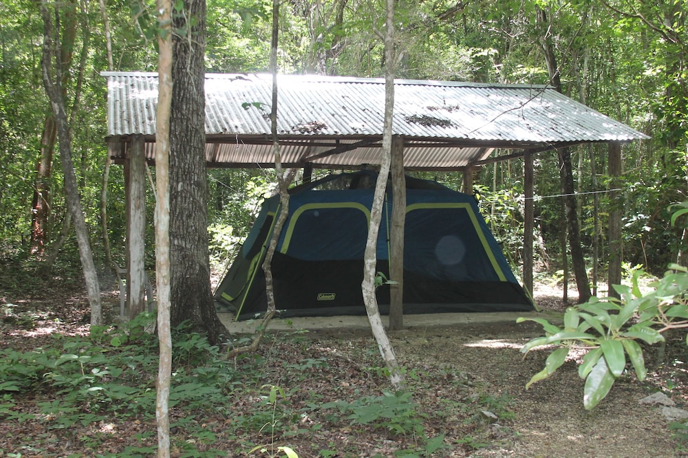 Family Tent, Non Smoking photo 2
