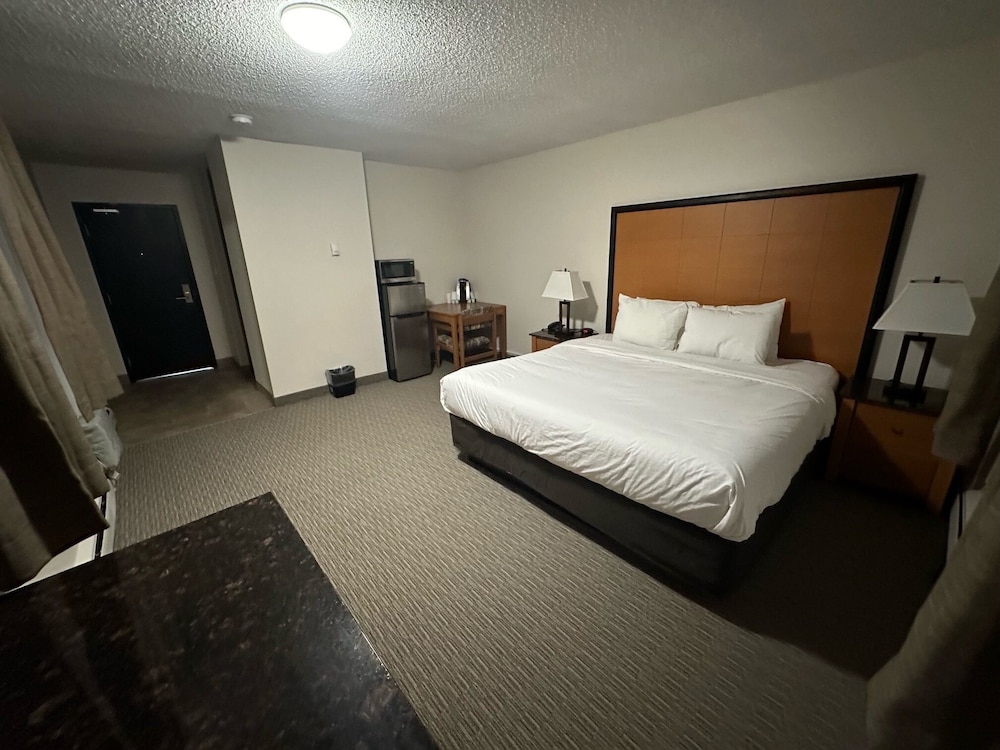 Deluxe Single Room, 1 King Bed - Standard King Room photo 2