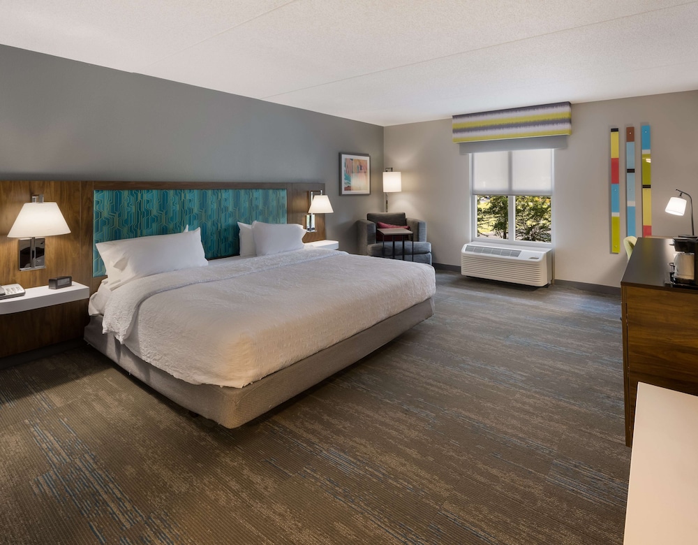 Room, 1 King Bed, Accessible (Mobility & Hearing) - Photo 2