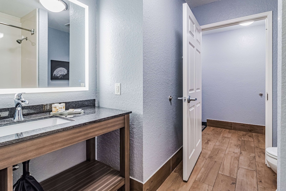 Deluxe Suite, 1 King Bed, Accessible, Non Smoking (Court View, Mob/Hear, Roll-In Shower) - Photo 4