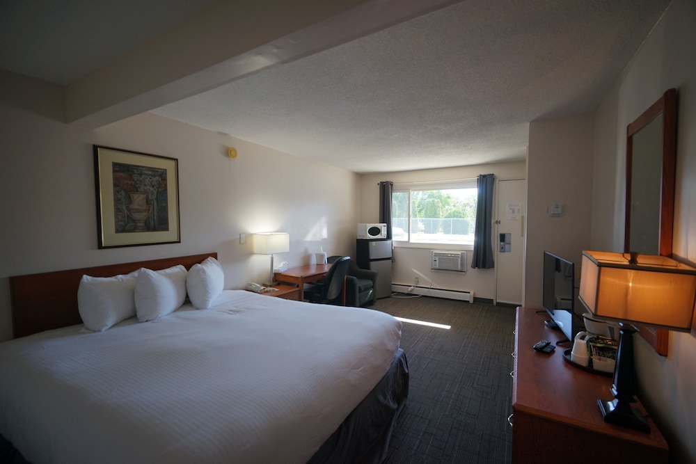 Standard Room, 1 King Bed, Non Smoking photo 1