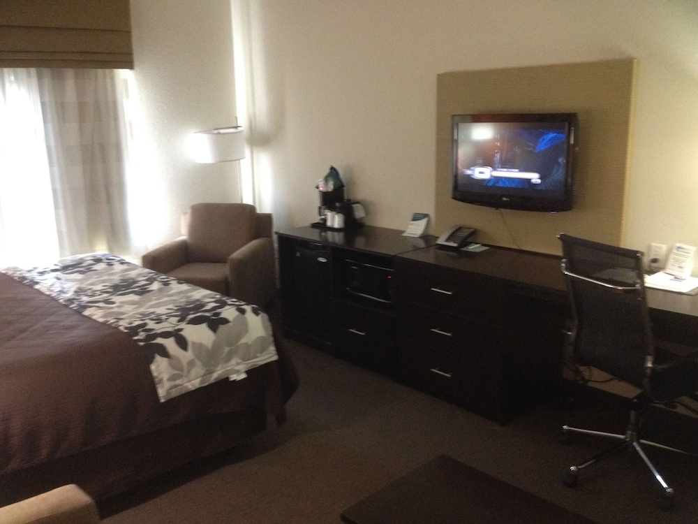 Standard Room, 1 King Bed, Non Smoking photo 3