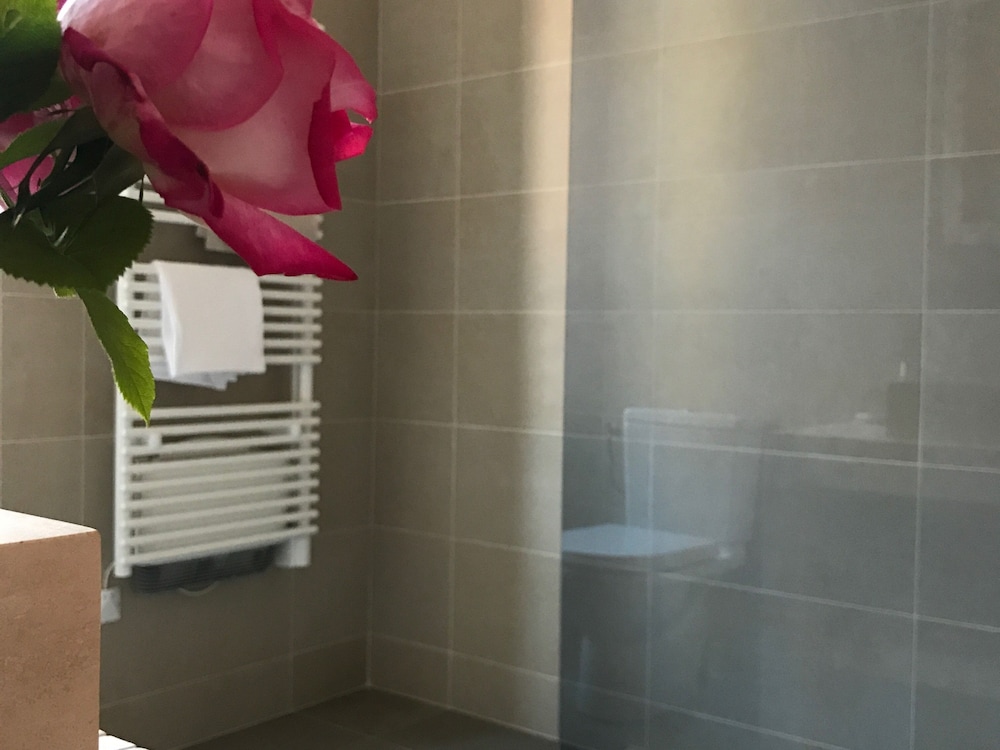 Deluxe Suite, Private Bathroom photo 3