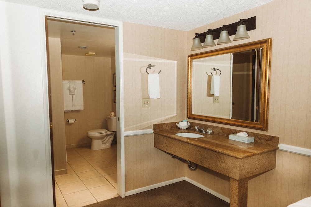 Grand Suite, 1 King Bed - Photo 6