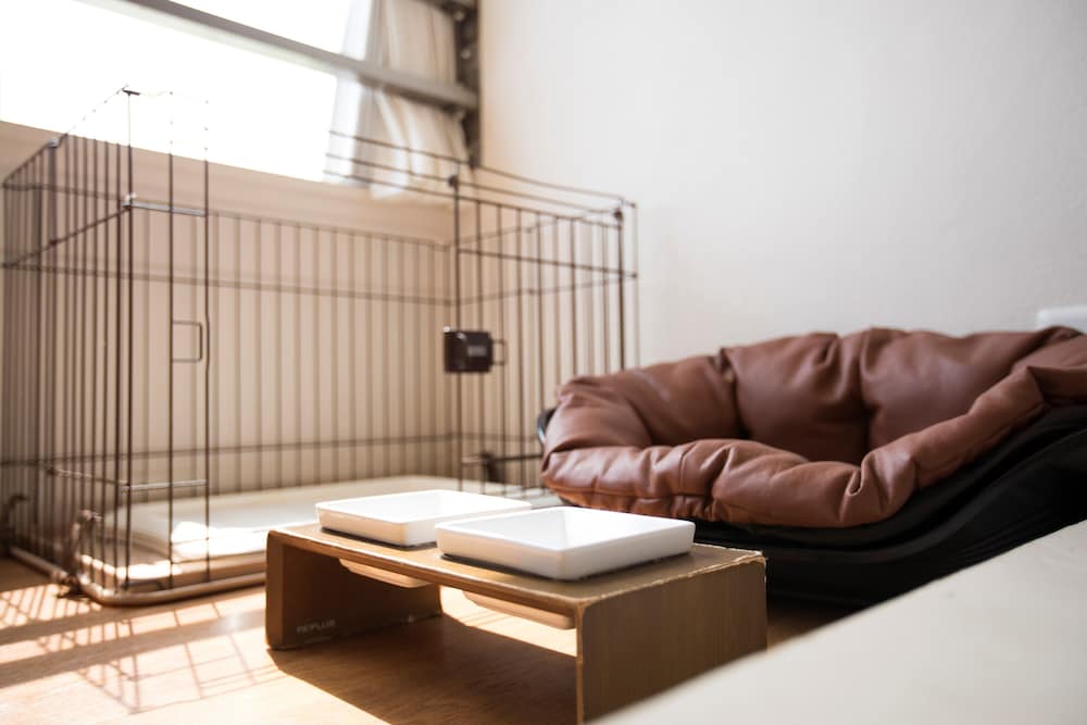 Pet Room, Smoking (Japanese Style, 2nd Floor, 10 Jo, With View Bath) photo 2