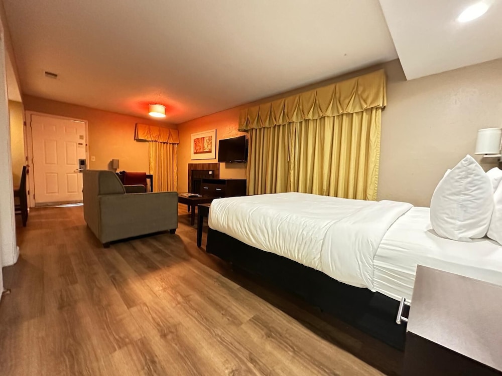 Studio Suite, 1 Queen Bed, Non Smoking - Photo 7