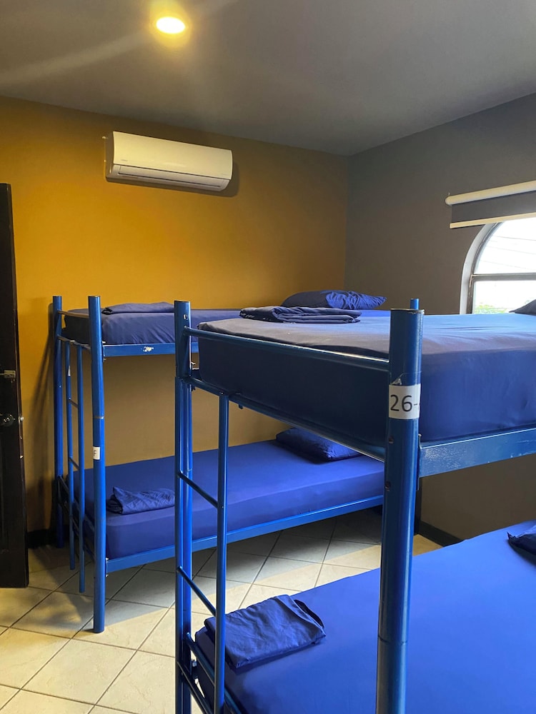 Bed in 4-Bed Mixed Dormitory Room photo 3