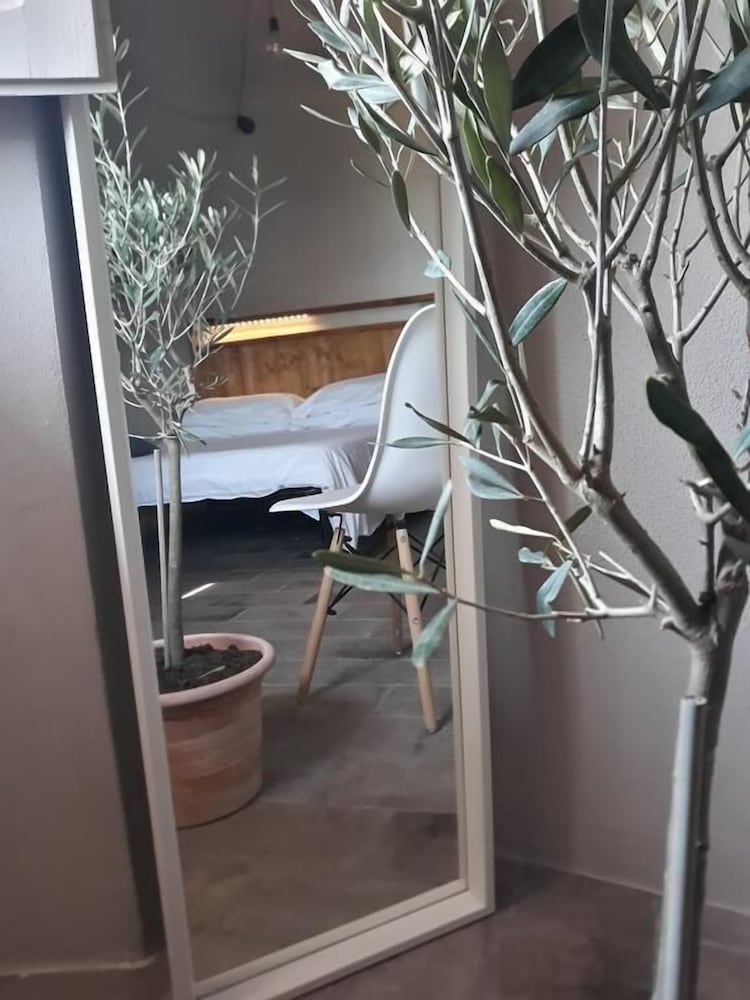 Suite photo 1