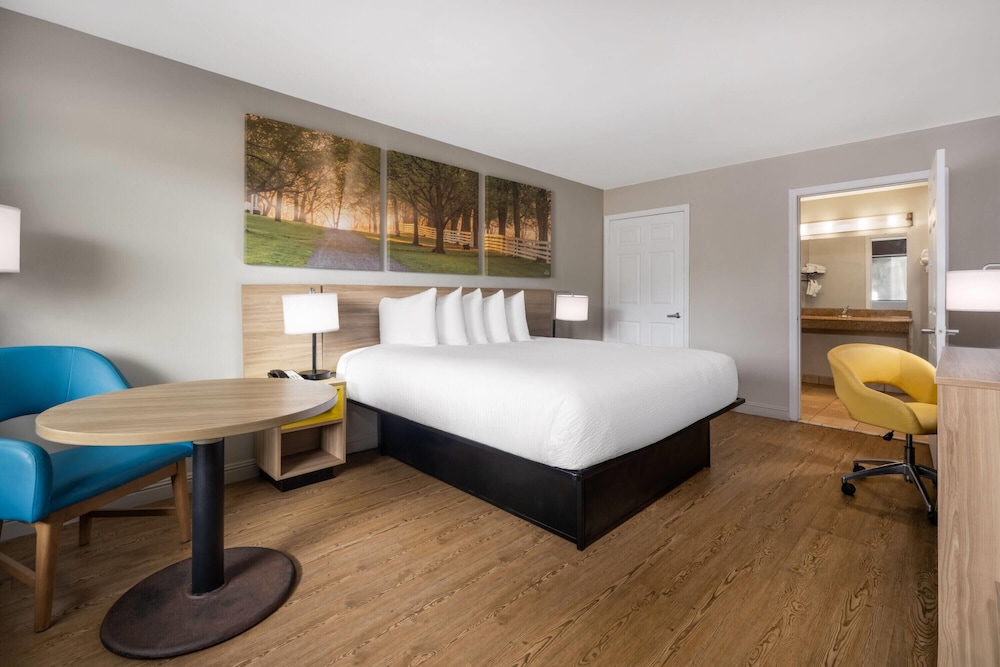 Room, 1 King Bed, Accessible, Smoking