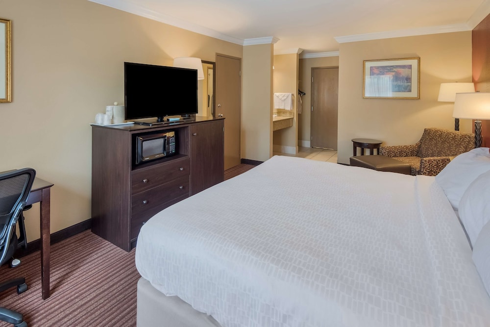 Standard Room, 1 King Bed, Non Smoking, Refrigerator & Microwave photo 2