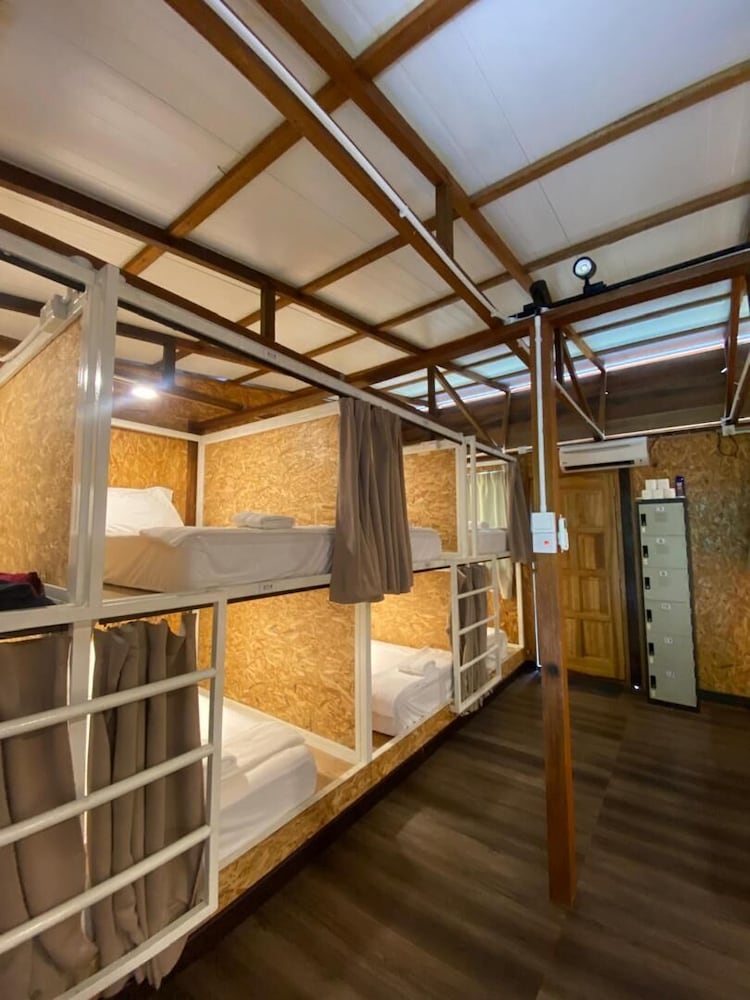 Shared Dormitory photo 1
