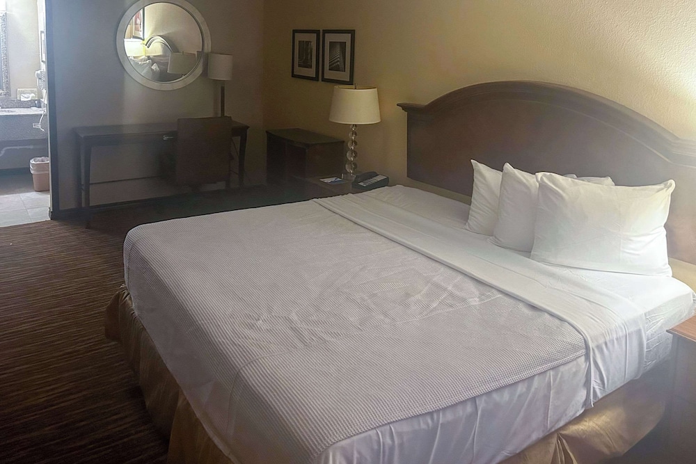 Suite, 1 King Bed, Non Smoking photo 1