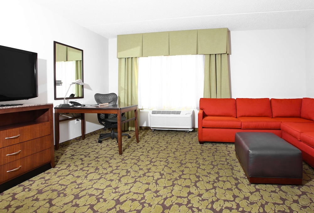 Suite, 1 King Bed photo 1