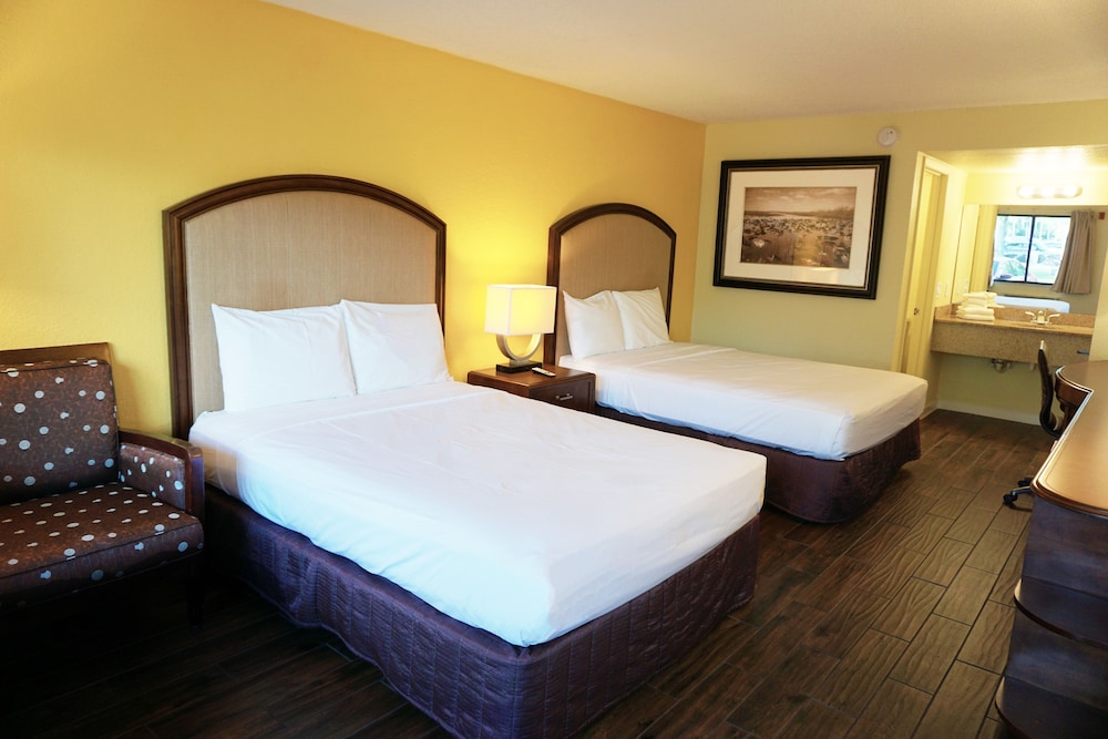 King Room photo 2