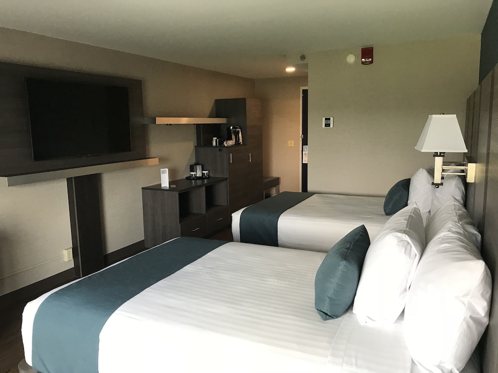 Executive Room, 2 Double Beds photo 1