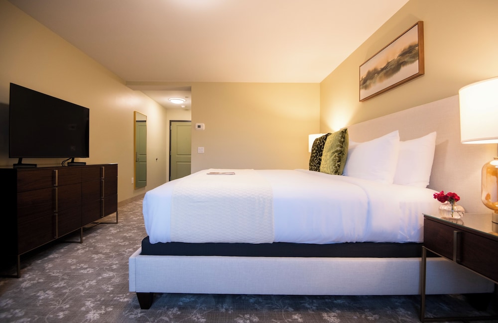 Basic Room, 1 King Bed photo 3