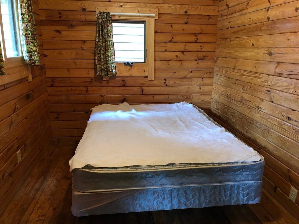 Classic Cabin photo 2