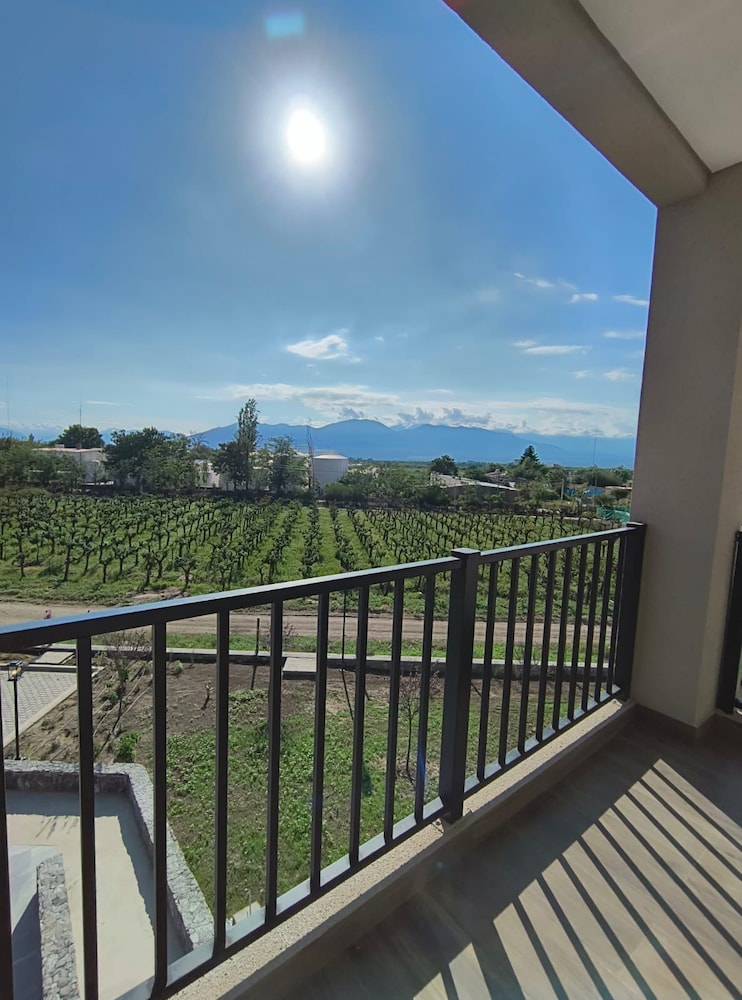 Deluxe Apartment, 1 Bedroom, Vineyard View photo 2