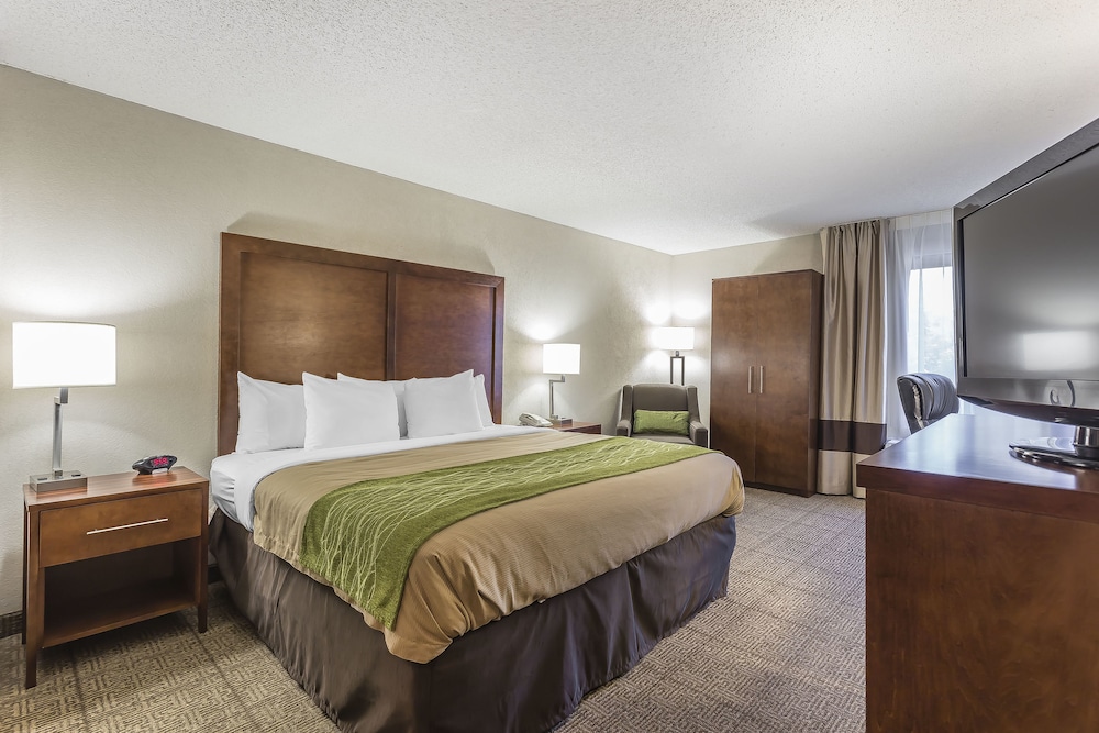 Standard Room, 1 King Bed, Non Smoking - Photo 3