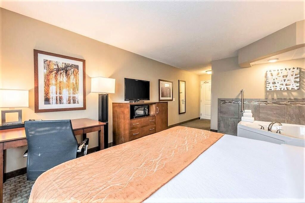 Luxury Single Room photo 3