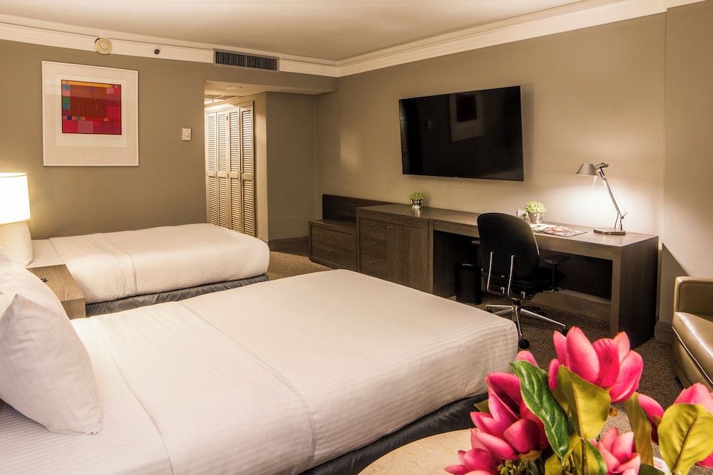 Twin Room photo 1