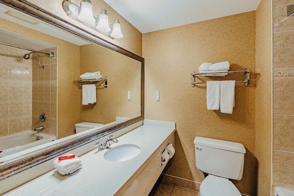 Standard Room, 2 Queen Beds, Non Smoking, Refrigerator & Microwave (Pet Friendly) - Photo 3