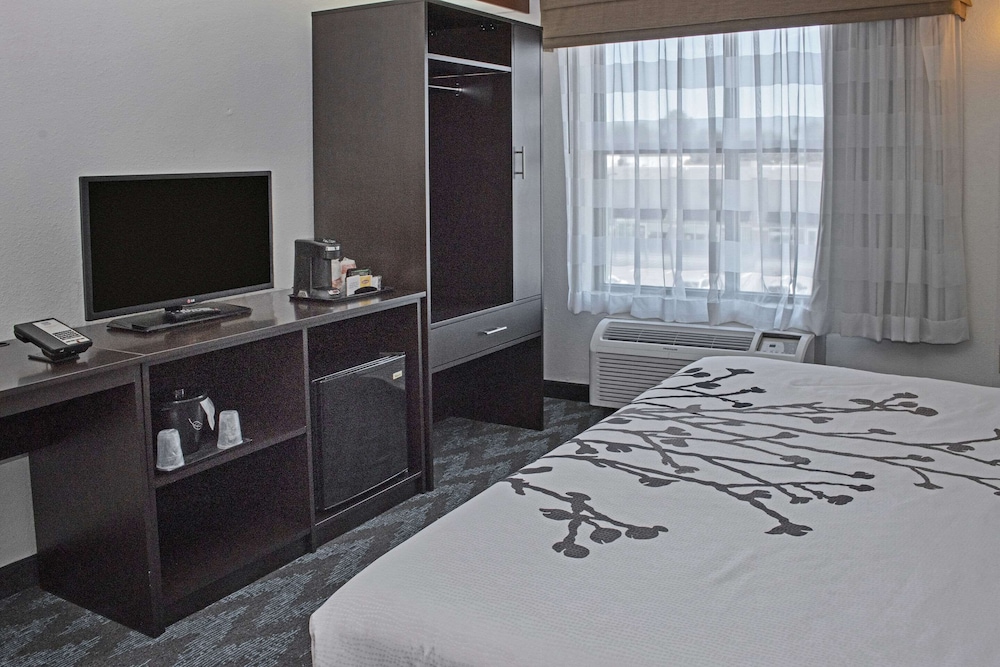 Standard Room, 1 King Bed, Non Smoking - Photo 2