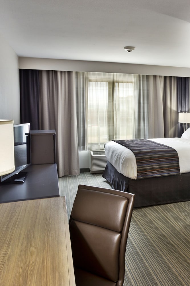 Room, 1 King Bed, Non Smoking photo 2