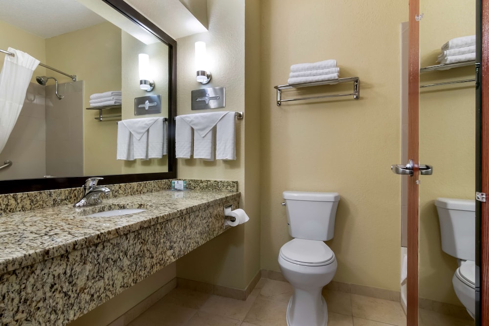 Standard Room, 1 King Bed, Non Smoking, Jetted Tub - Photo 4