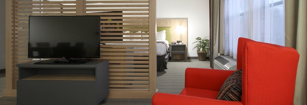Suite, 1 King Bed, Accessible photo 3