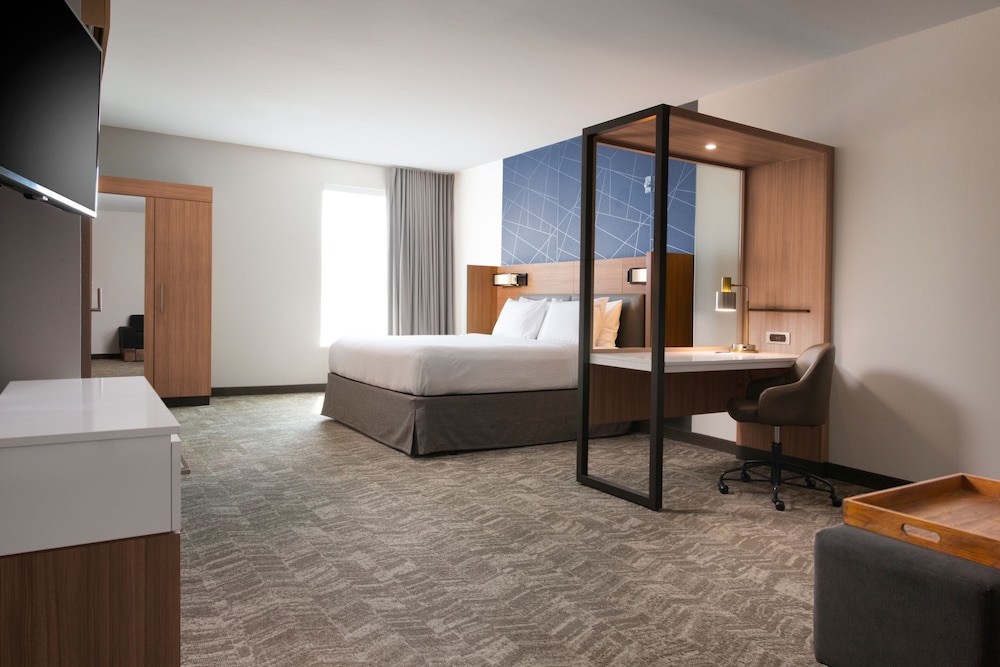 Suite, 1 King Bed with Sofa bed (Mobility Accessible, Roll-In Shower) photo 1