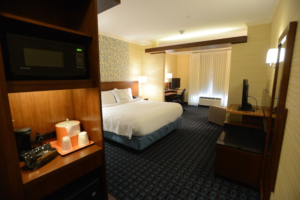 Suite, 1 King Bed with Sofa bed