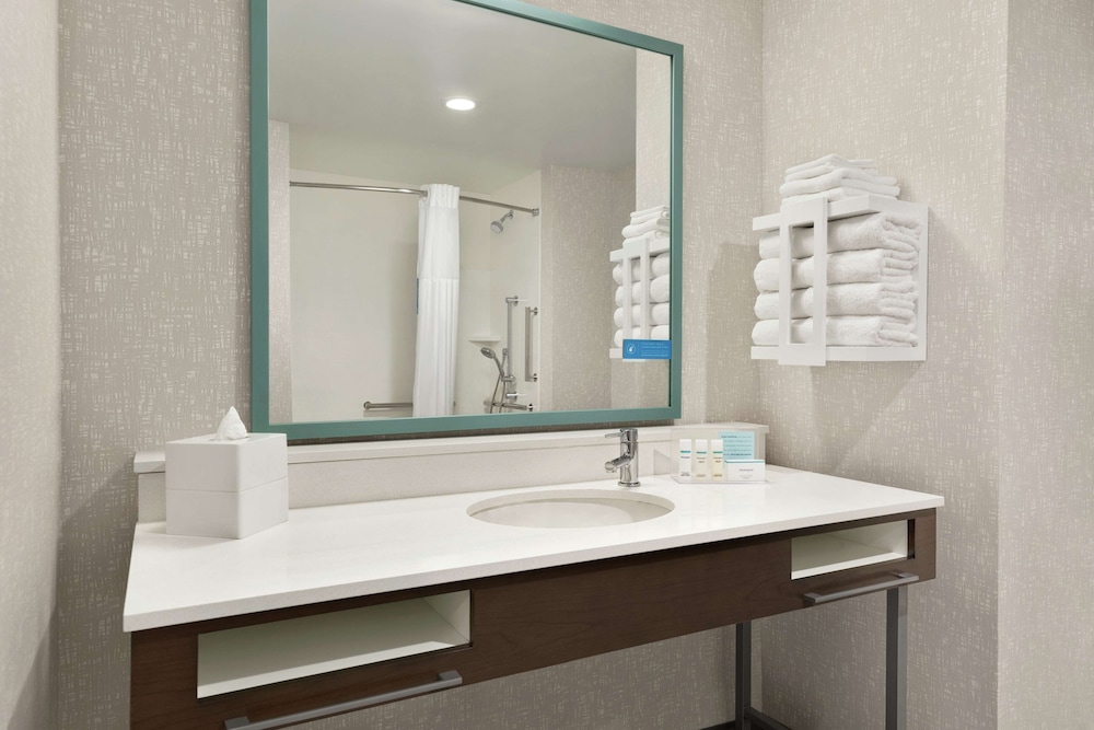 Room, 1 King Bed, Accessible (Roll-In Shower) - Photo 4