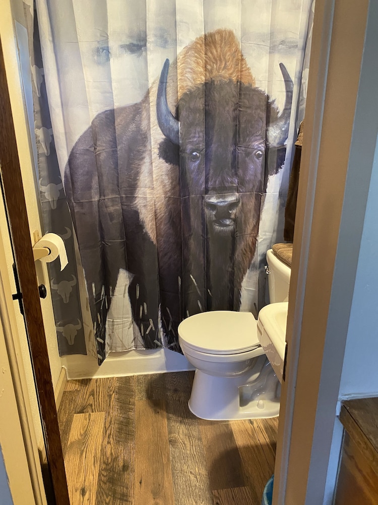 The Buffalo photo 2