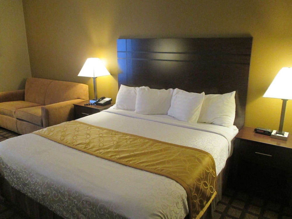 Standard Room, 1 King Bed, Non Smoking, Jetted Tub (with Single Sofabed)