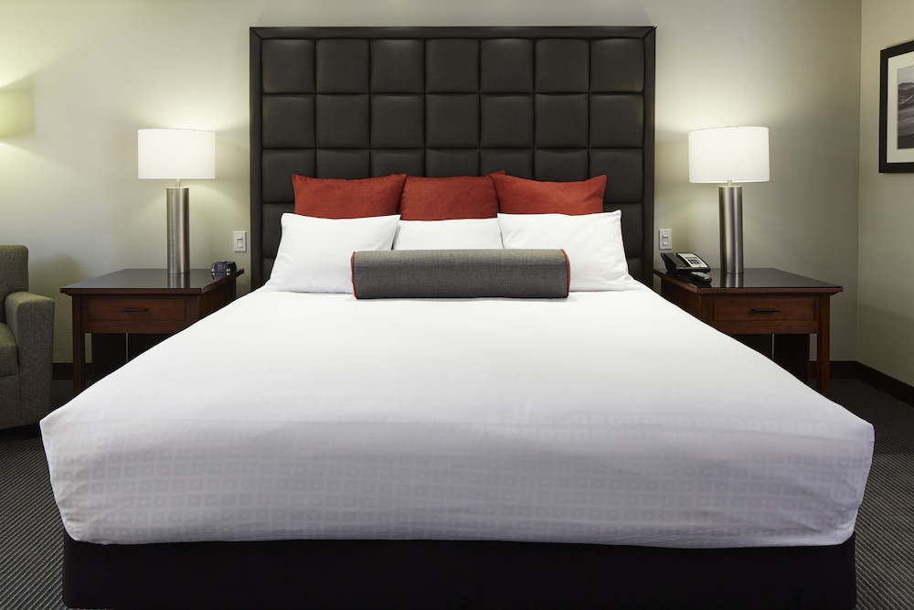 Room, 1 King Bed, Lakeside photo 3