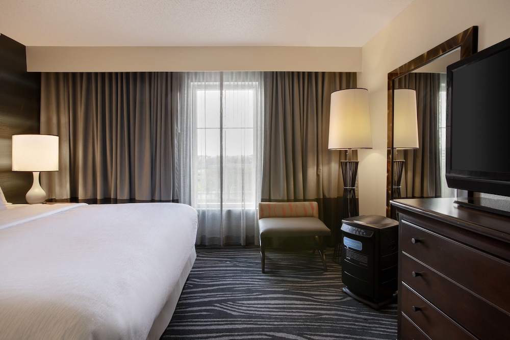 Room, 1 King Bed thumbnail 6