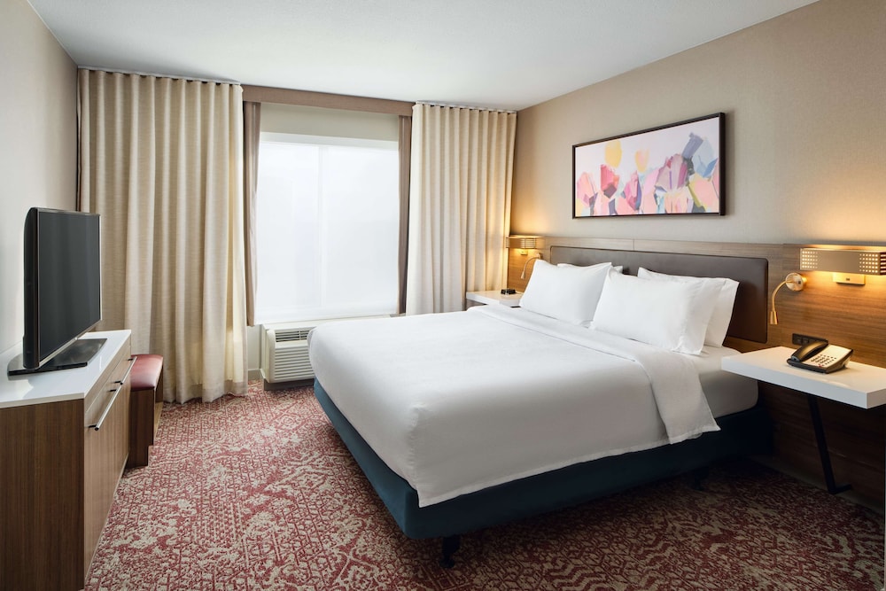 Suite, 1 King Bed, Accessible (Roll-In Shower) - Photo 3