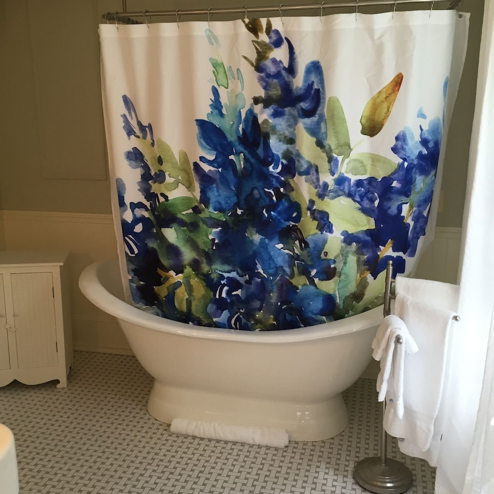 Theodore Roosevelt Suite, 1 Queen Bed, Deep soaking tub, Propane fireplace, Library access photo 3