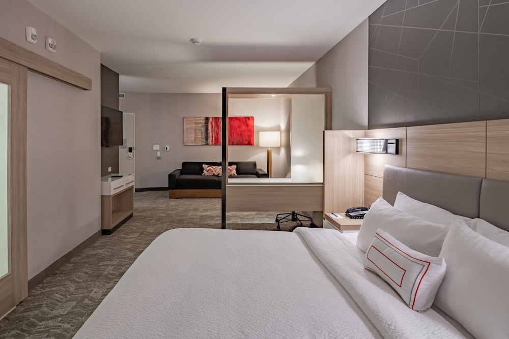 Suite, 1 King Bed with Sofa bed (Mobility/Hearing Access, Roll-in Shwr) photo 3