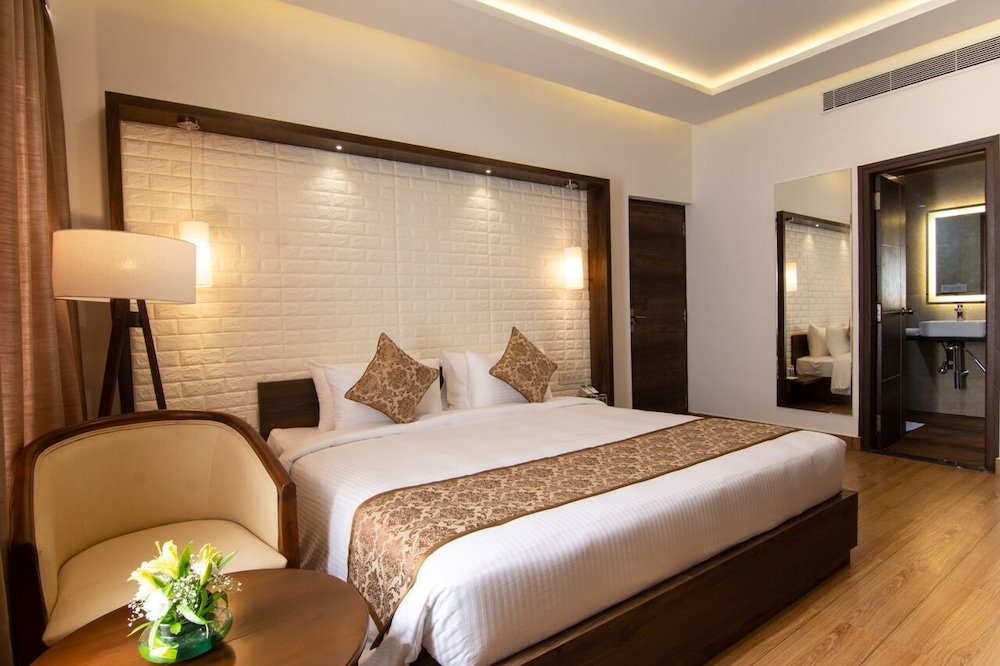 Suite - Photo 1