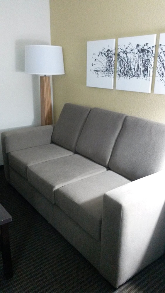 Standard King with Sofa Bed, Non-Smoking