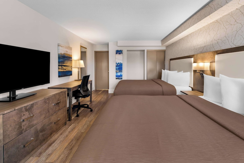 Standard Room, 2 Queen Beds, Non Smoking, Refrigerator & Microwave (Pet Friendly) photo 3