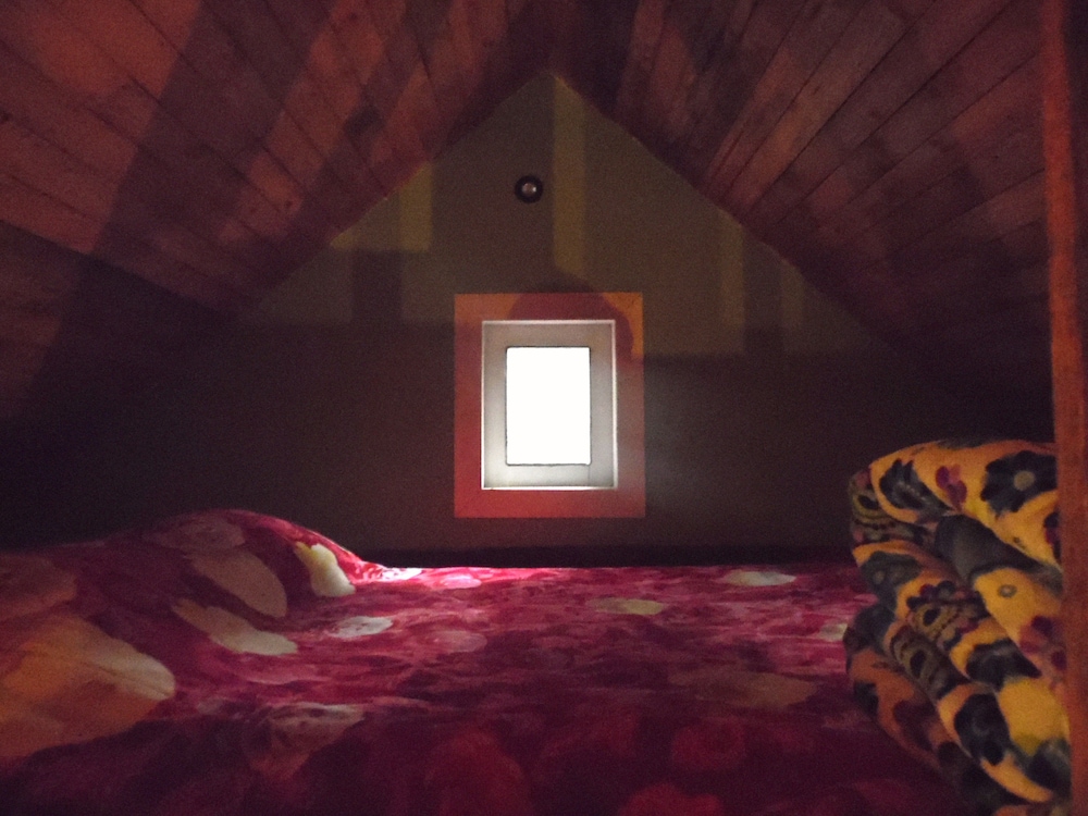 Standard Cabin, 1 Bedroom photo 2