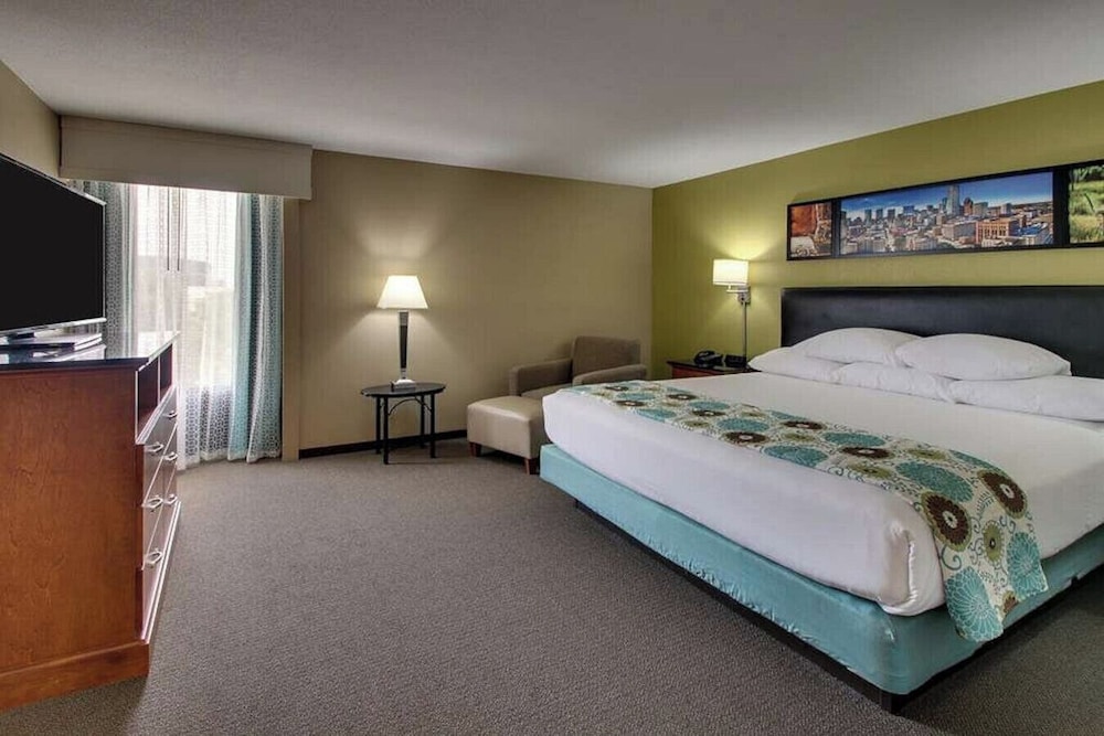 Deluxe Suite, 1 King Bed, Non Smoking - Photo 5