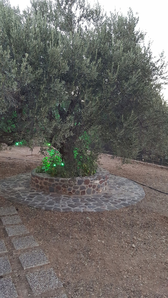 Villa Politimi at Aegina, Billede 40