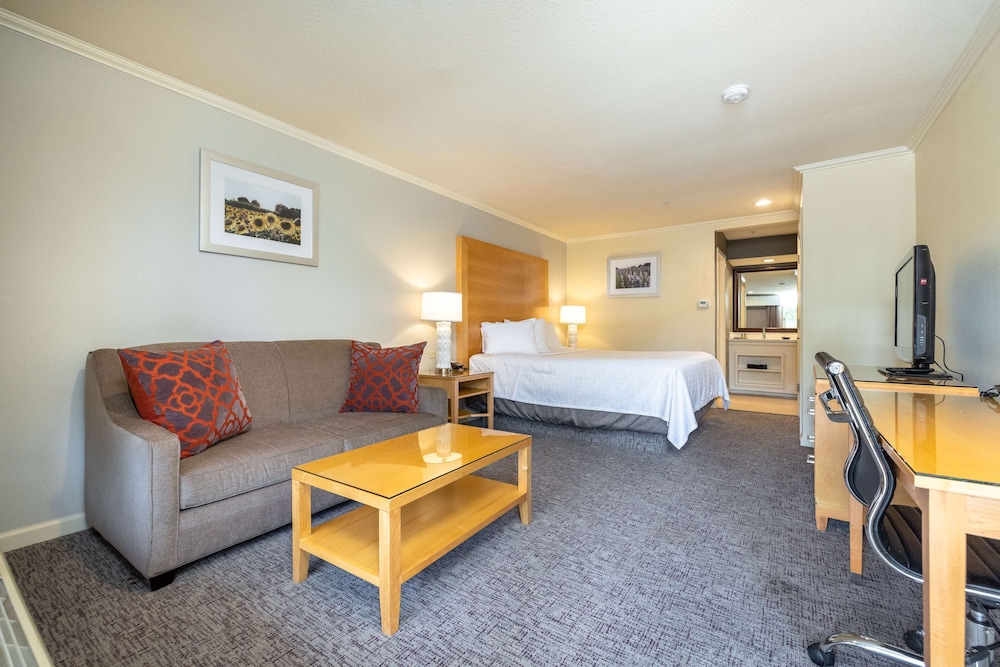 Standard Room, 1 King Bed, Accessible, Non Smoking - Photo 1