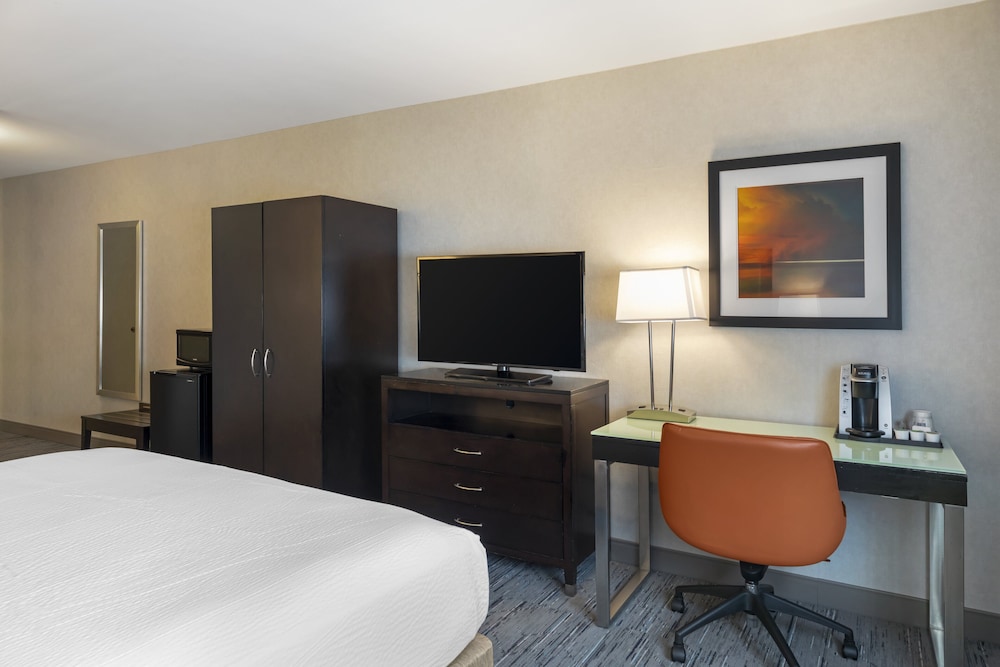 Standard Room, 1 King Bed, Accessible (Roll-In Shower) - Photo 4