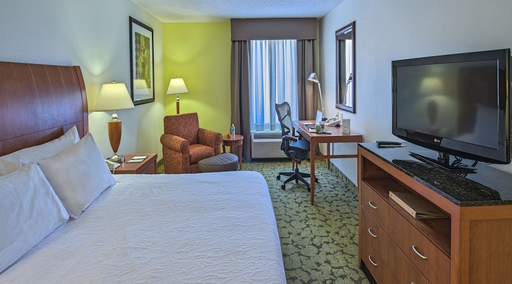 One king bed evolution room photo 3